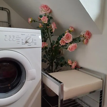 Eva In Appartement Obdach